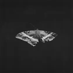 Виниловая пластинка Kendrick Lamar — To Pimp A Butterfly (10th Anniversary)