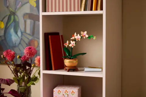 Конструктор LEGO Botanical Collection 10343 Мини орхидея
