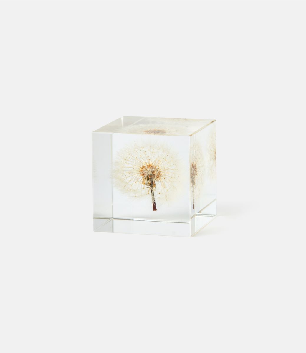 Sola Cube Dandelion Large — куб из акриловой смолы