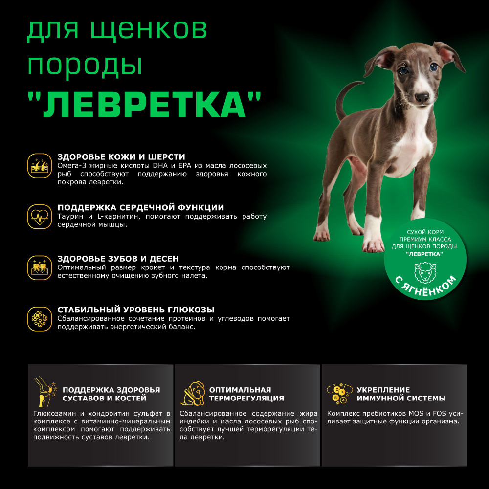Корм сухой для щенков породы Левретка, премиум полнорационный комплекс, с ягненком, 800 гр, QUATTRO