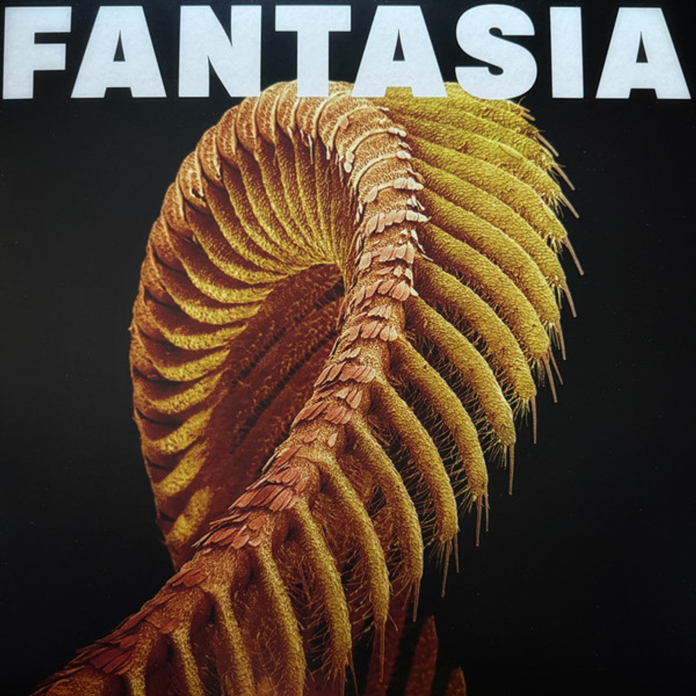 Slift - Fantasia - Starlight Coloured LP