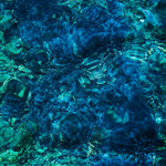Ichiko Aoba - Luminescent Creatures - US Press