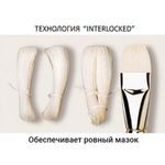 Кисть художественная профессиональная BRAUBERG ART CLASSIC, щетина, плоская, № 20, длинная ручка, 200722