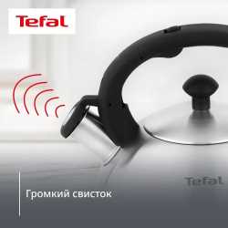 Чайник для плиты Tefal Nova 2,5 л матовый N4210117