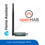 Стик Sonoff Dongle-PP10