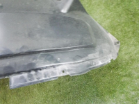DSCN8595.jpg