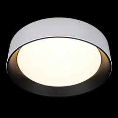 Потолочный светильник Coin 10202 WB Loft It