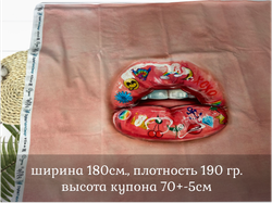 Кулирка купон Губки 70см+-5см