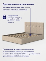 Кровать БайДрим (велюр, без ПМ)
