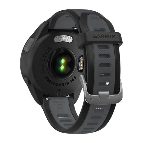 Смарт-часы Garmin Forerunner 165 Slate Gray