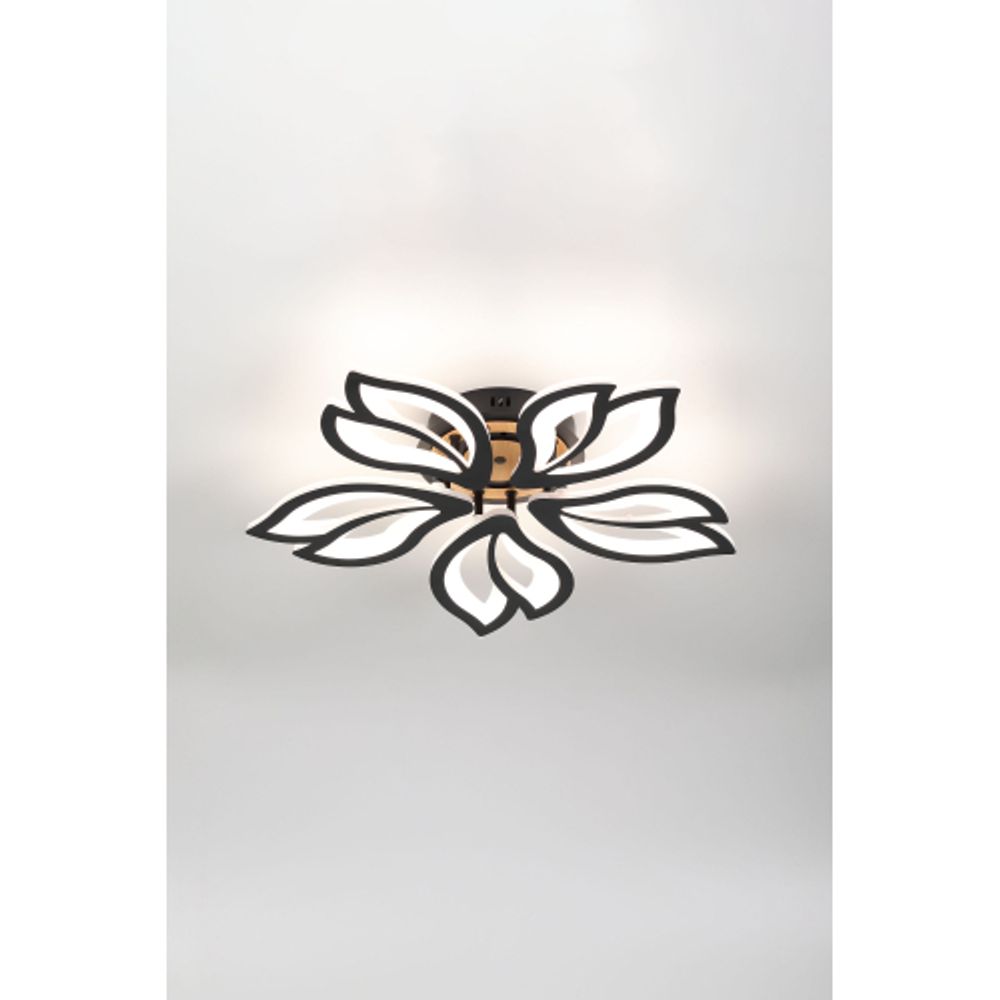 Светильник потолочный светодиодный Rivoli Lana 6195-733 LED 3000-6250К 100 Вт с пультом | Rivoli