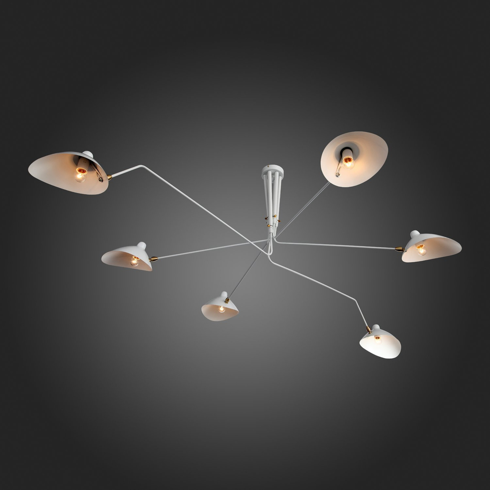 Люстра потолочная ST Luce Spruzzo SL305.502.06