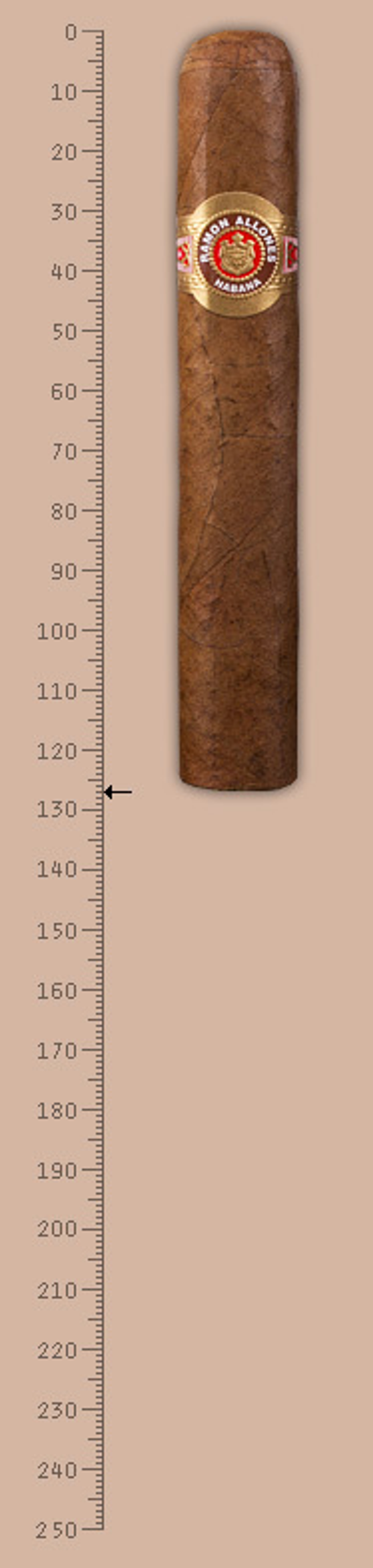 Ramon Allones Specially Selected