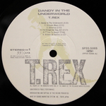 T. Rex / Dandy In The Underworld (LP)
