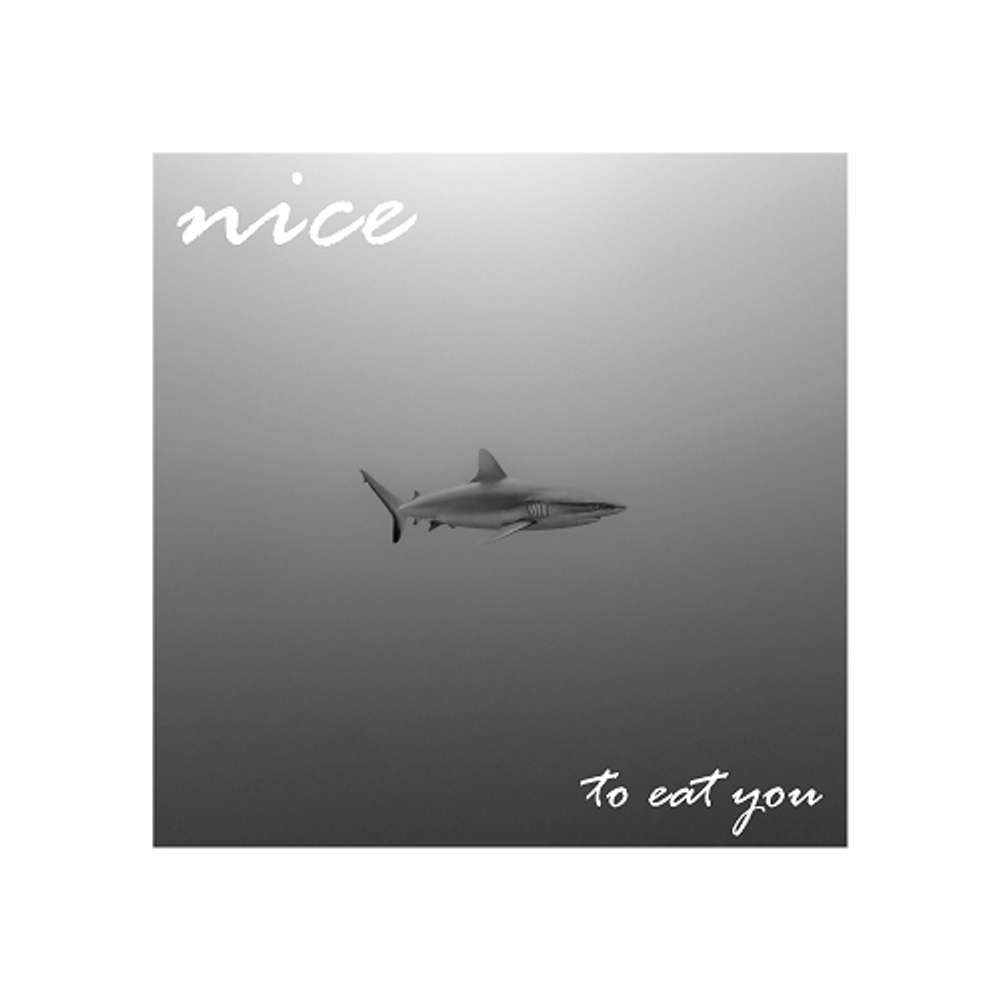 принт с акулой Nice to eat you
