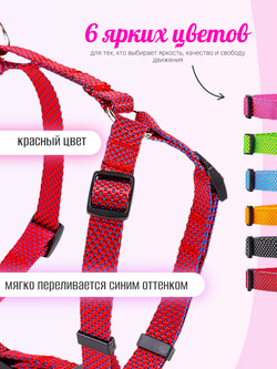 Шлейка NEO 1.5 см красный