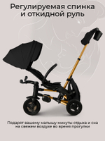 Велосипед трехколесный Qplay S700-17 SPRINTER SL Black (Rub/Gold)