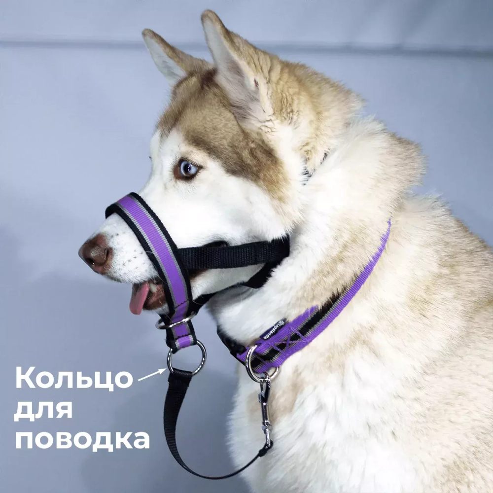 Недоуздок корректор поведения Спорт (Халти) для собак