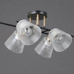 IL0845-6CSQ-25BKAB ELITE светильник потолочный ILLUMICO, E27х6