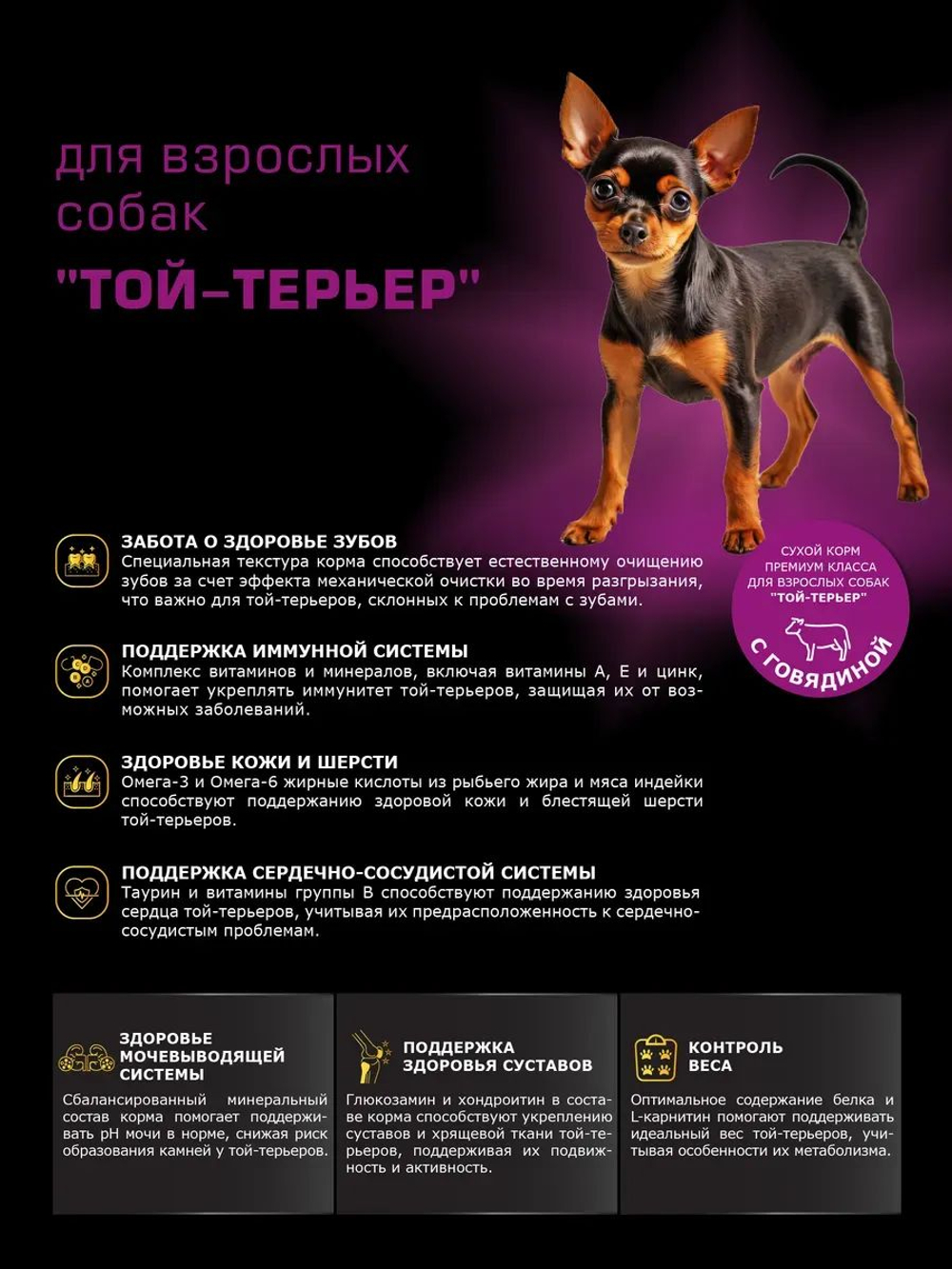 Корм сухой для взрослых собак породы Той-терьер, с говядиной, 12 кг, QUATTRO