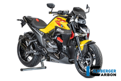 Ilmberger Carbonparts Заглушка пассажирского сиденья BMW R 1300RS CG.SIA.013.R130R