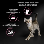 Когтеточка-лежанка из гофрокартона, Котики 400х350х20мм
