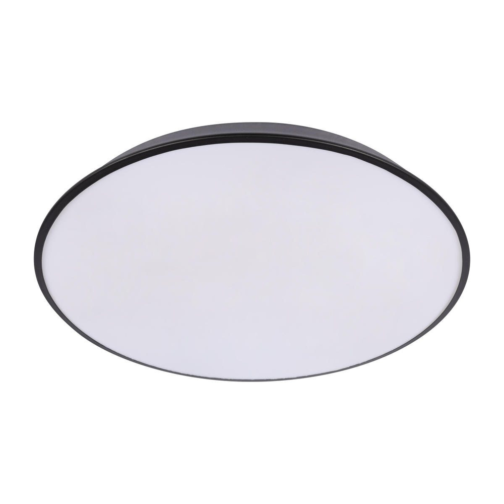 Потолочный светодиодный светильник Loft It Brim 10226 Black