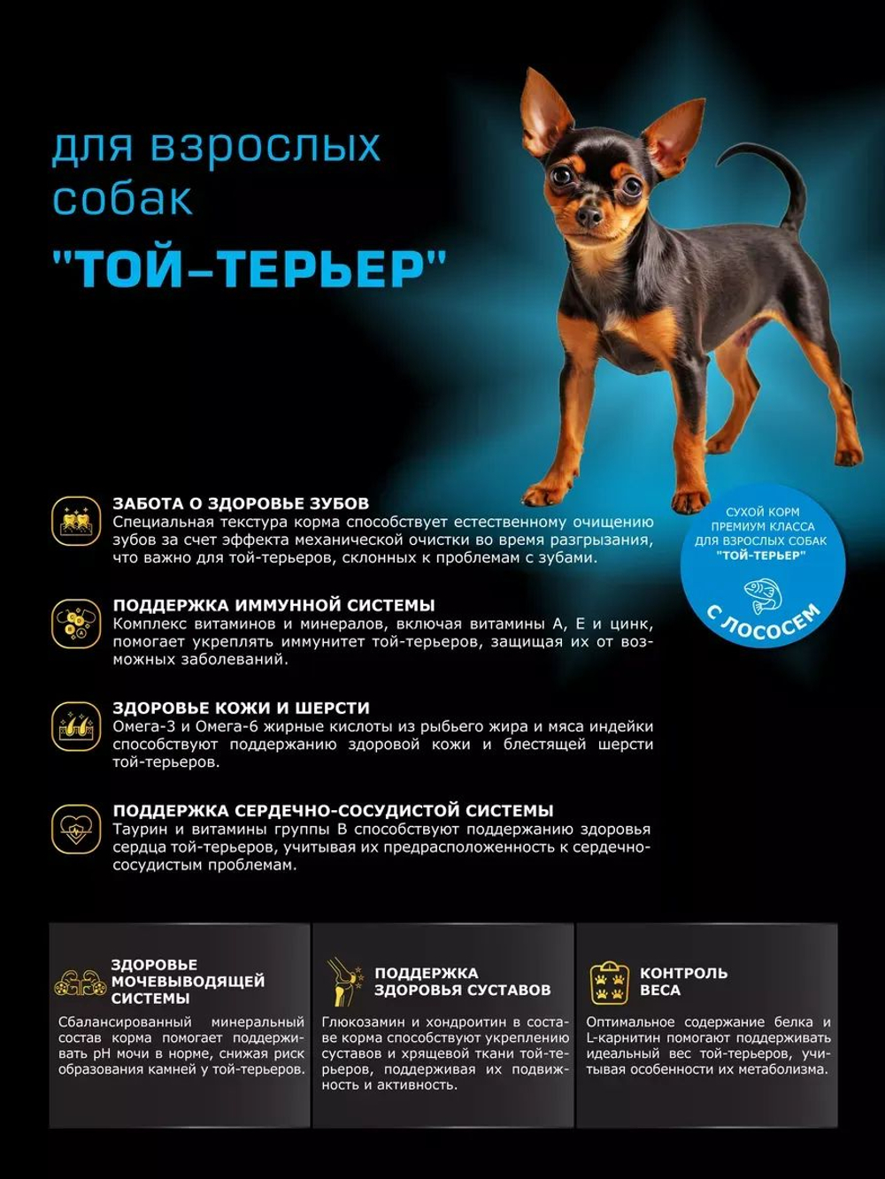 Корм сухой для взрослых собак породы Той-терьер, с лососем, 2,5 кг, QUATTRO