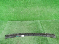 DSCN9571.JPG