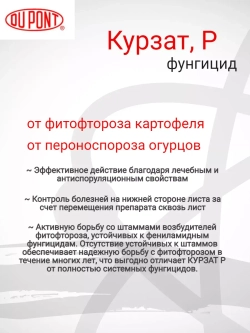 Курзат фунгицид 60 гр