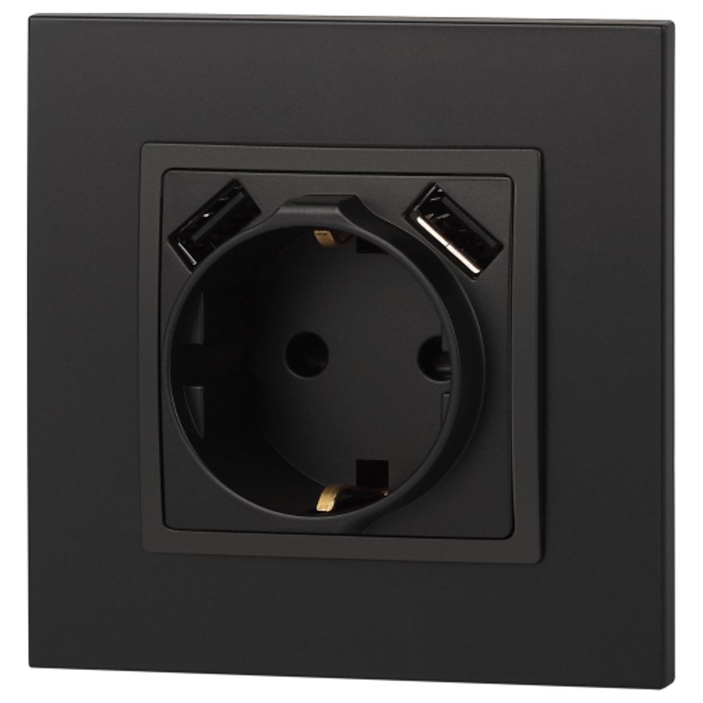 Розетка ЭРА Elegance 14-4109-05 2P+E 16A-250В штор. с 2xUSB 5В-3А антрацит | Эра Elegance