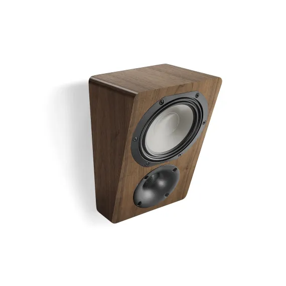 Canton AR 5 Walnut