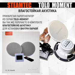 Steamtec TOLO MOMENT 240 - 24 кВт парогенераторы для хамама и турецкой бани / Серия PLATINUM со встроенной музыкой, пультом на 9-ти языках и возможностью монтажа без термодатчиков