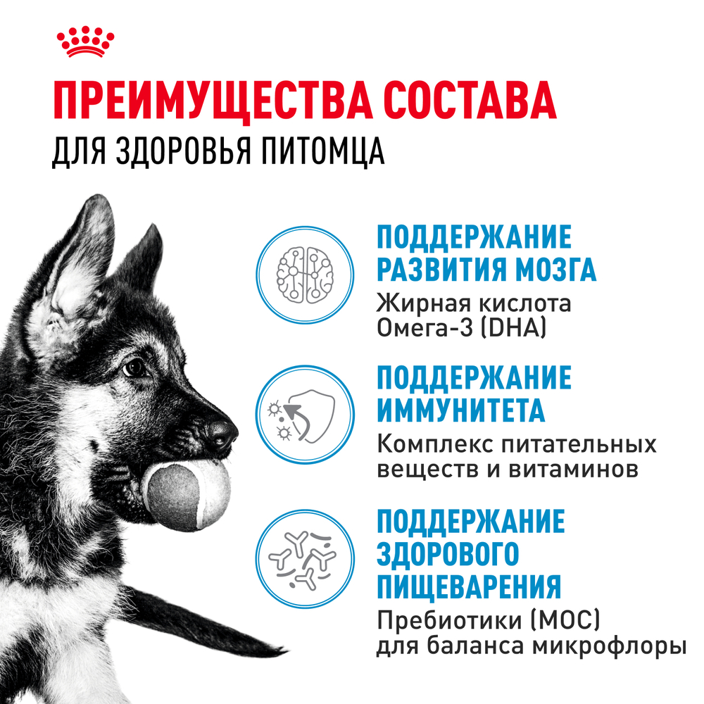 Royal Canin Maxi Puppy Корм сухой для щенков крупных размеров в возрасте до 15 месяцев - 15 кг