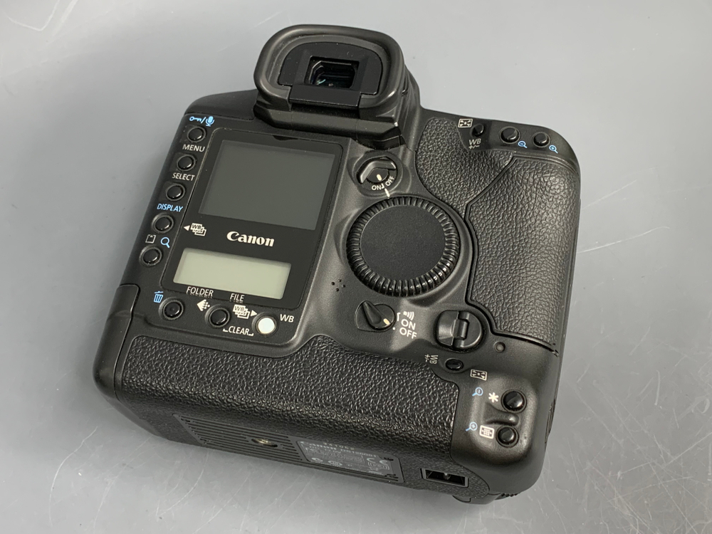 Canon EOS 1Ds Mark II 22.000 кадров