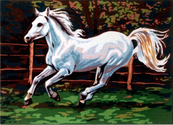 Рисунок для вышивания Soulos (канва жесткая), Галопом., 45х60 см