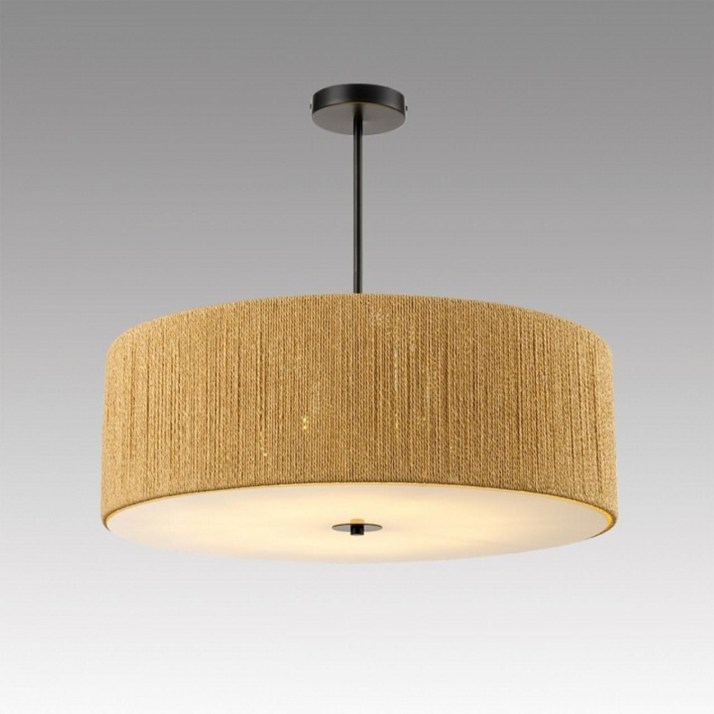 Светильник на штанге Lumion SILVANA 8286/7