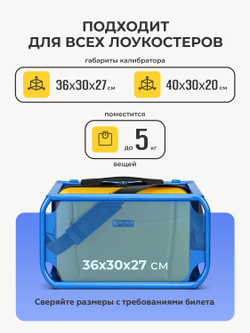 Чемодан L с кейсом в комплекте Желтый