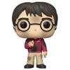 Funko POP! Harry Potter Anniversary: Harry Potter w/The Stone (132)