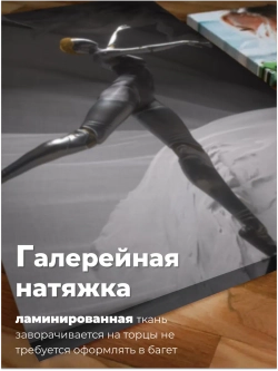 Картина Балет стального сердца модульная 50x70см 2шт.