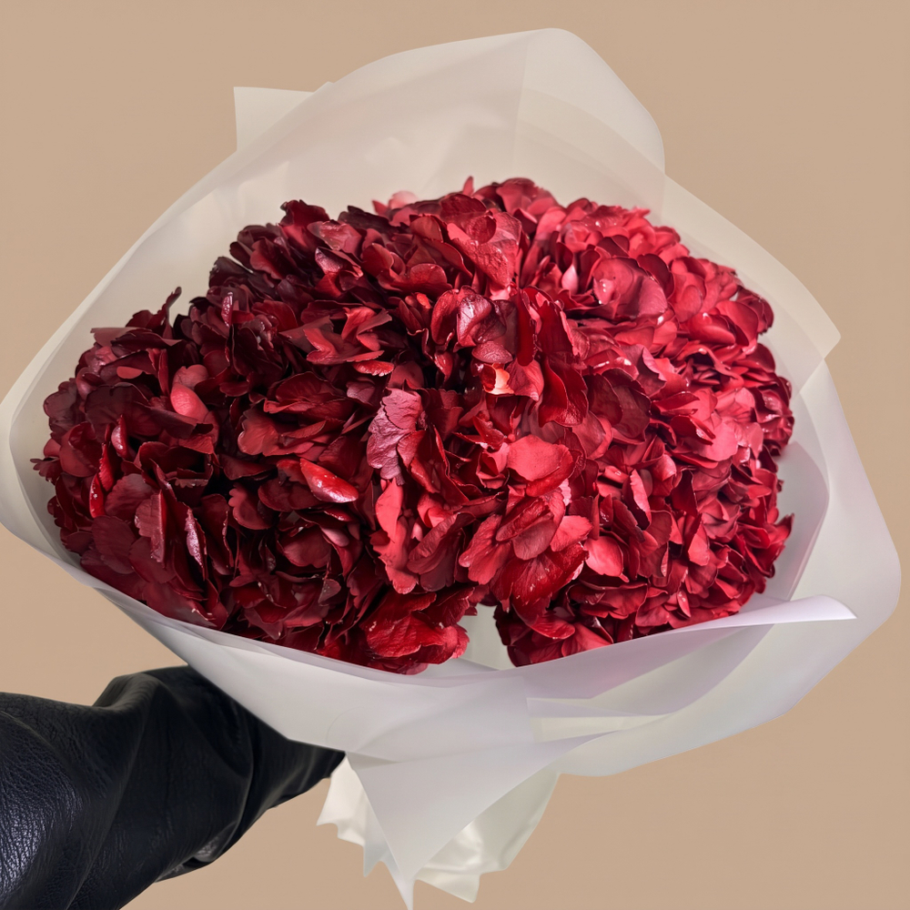Красные гортензии Red Amor