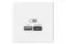Розетка USB Systeme Electric ARTGALLERY тип А+C белый 39389
