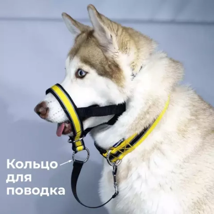 Недоуздок корректор поведения Спорт (Халти) для собак