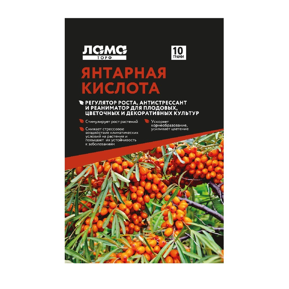 Средство Янтарная кислота10гр /150