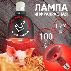 Инфракрасная лампа ЭРА ИКЗК 230-100 R95 для обогрева животных и освещения 100 Вт Е27 | Инфракрасные лампы