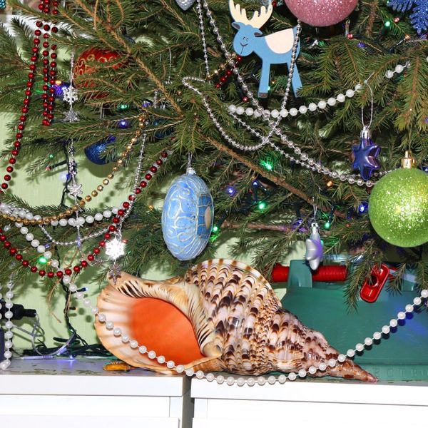Купите солидный подарок 🎁 на Новый Год !🎄 Купите солидный подарок 🎁 на Новый Год !🎄