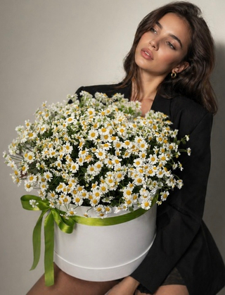 Chamomile Bliss