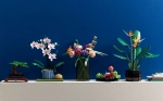 Конструктор LEGO Botanical Collection 10311 Орхидея
