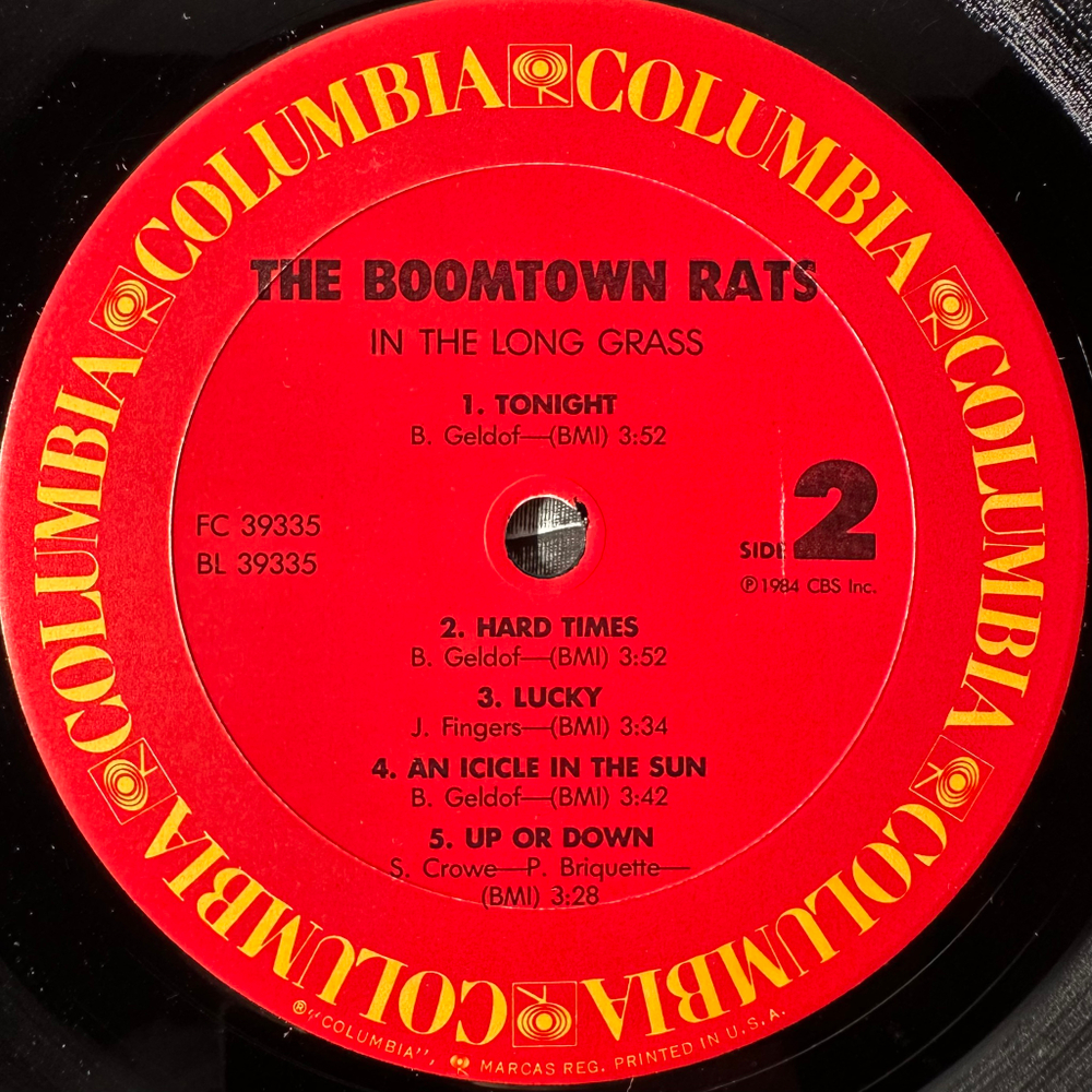 The Boomtown Rats ‎– In The Long Grass (США 1984г.)