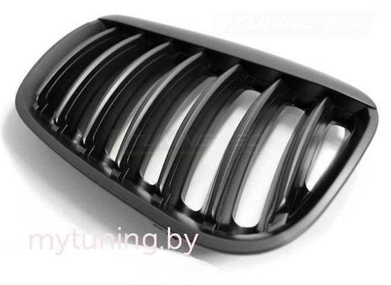 Решетка (ноздри) радиатора MATT BLACK для BMW X5 E53 LCi